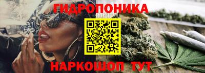 трава Комсомольск-на-Амуре