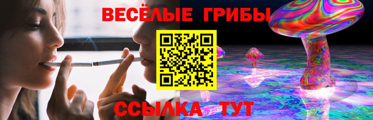 Псилоцибиновые грибы Psilocybe  наркотики  Южно-Сахалинск  Вход с VPN 